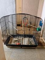 Grote vogel kooi Moet weg ! 50euro, Ophalen