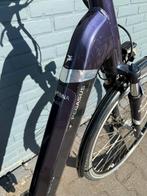 Pegasus Ravenna Evo 8 Electrische Fiets | Bosch Plus Motor, Overige merken, 53 tot 56 cm, Versnellingen, Ophalen of Verzenden