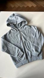 Zachte grijze hoodie Pauline B. - 10 jaar, Kinderen en Baby's, Gebruikt, Ophalen of Verzenden