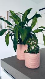2 bloempotten roze keramiek h&m home, Tuin en Terras, Ophalen, Rond, Binnen, Zo goed als nieuw