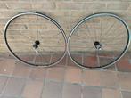 Campagnolo Proton wielset - Campagnolo 9-12 speed., Fietsen en Brommers, Fietsonderdelen, Ophalen, Racefiets, Wiel, Campagnolo