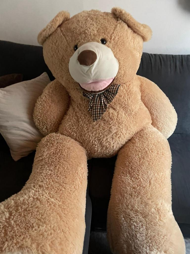 Grand ours en peluche, Enlèvement