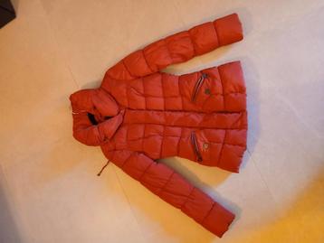 Veste d'hiver Mexx, Enlèvement, Comme neuf, Taille 34 (XS) ou plus petite