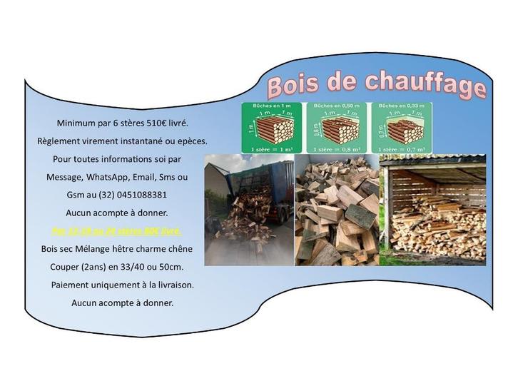 Bois chauffage 2025 payer a la livraison hêtre charme chêne, Tuin en Terras, Brandhout, Blokken, Beukenhout, 6 m³ of meer, Verzenden