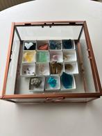 Glazen doos met gesteente, mineralen en fossielen, Ophalen of Verzenden, Fossiel