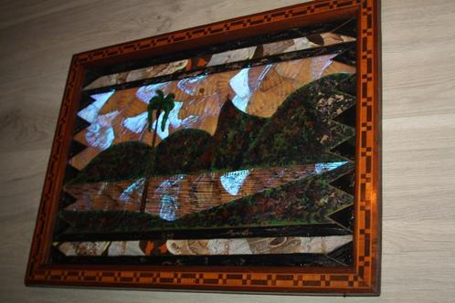 kader met echte vlindervleugels , Rio souvenir , 38x29 cm, Verzamelen, Dierenverzamelingen, Zo goed als nieuw, Overige typen, Insect