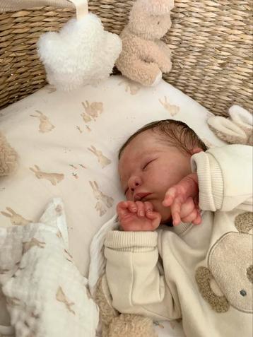 Reborn baby Mick van adrie Stoete met certificaat beschikbaar voor biedingen