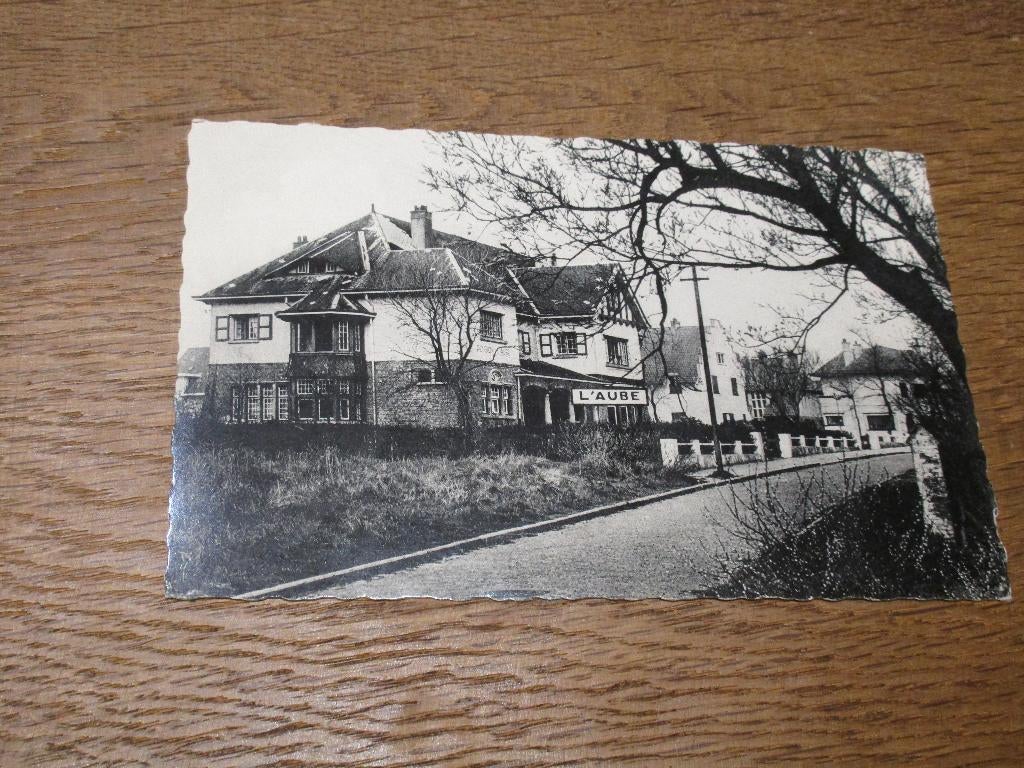 POSTKAART DUINBERGEN VILLA L' AUBE, Ophalen of Verzenden, Ongelopen, West-Vlaanderen