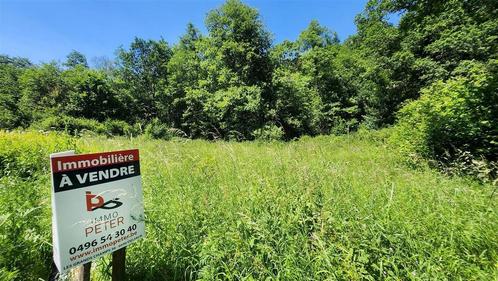Terrain à vendre à Vielsalm, Immo, Gronden en Bouwgronden, 500 tot 1000 m²