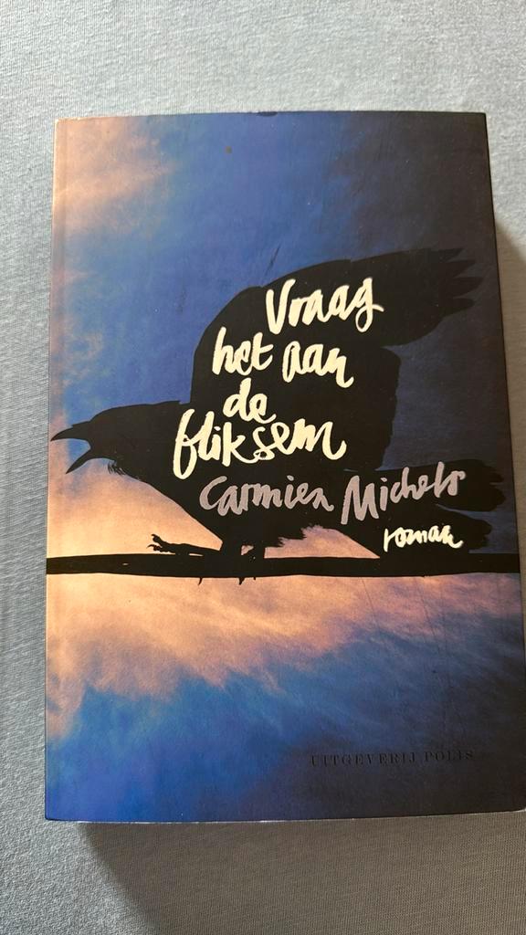 Carmien Michels - Vraag het aan de bliksem, Boeken, Literatuur, Zo goed als nieuw, Ophalen