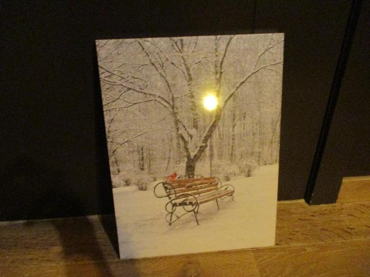 canvas met led verlichting canvas op houten frame bos sneeuw, Huis en Inrichting, Woonaccessoires | Schilderijen, Tekeningen en Foto's
