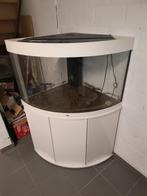 JUWEL TRIGON 190, Dieren en Toebehoren, Ophalen, Gebruikt, Leeg aquarium