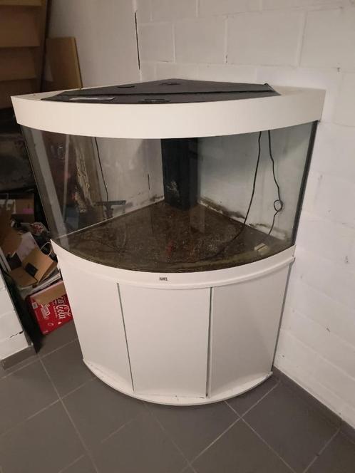 JUWEL TRIGON 190, Dieren en Toebehoren, Vissen | Aquaria en Toebehoren, Gebruikt, Leeg aquarium, Ophalen