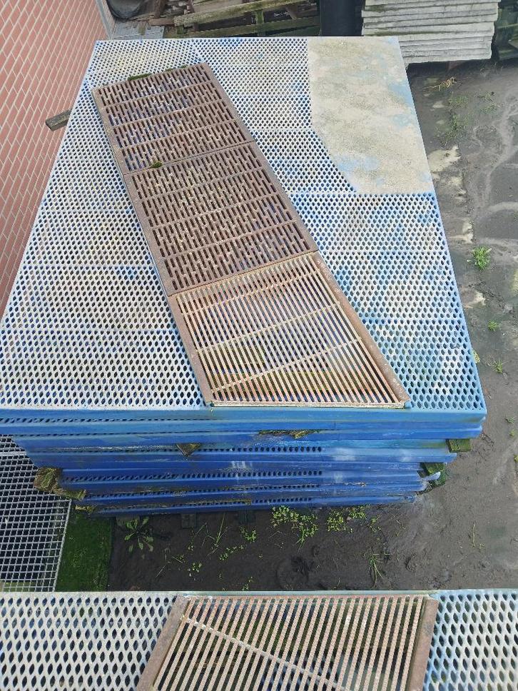 nooyen rooster zeug kraamstal, Dieren en Toebehoren, Overige Dieren, Januari