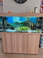 Aquarium 240L + pomp + co2+ allerlei, Dieren en Toebehoren, Ophalen, Zo goed als nieuw