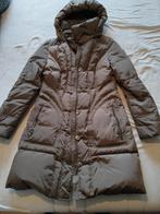 Veste d'hiver Mexx pour femme taille 40, Enlèvement ou Envoi, Taille 38/40 (M)