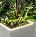 LECHUZA CANTO Premium 40 low LED - Plantenbak, Ophalen, Nieuw