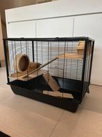 Hamsterkooi met toebehoren, Dieren en Toebehoren, Knaagdieren en Konijnen | Hokken en Kooien, Kooi, Gebruikt, Hamster, 75 tot 110 cm