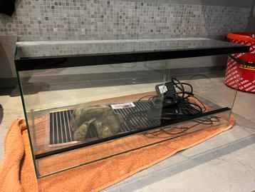 Terrarium, Animaux & Accessoires, Enlèvement, Utilisé, Terrarium ou Paludarium