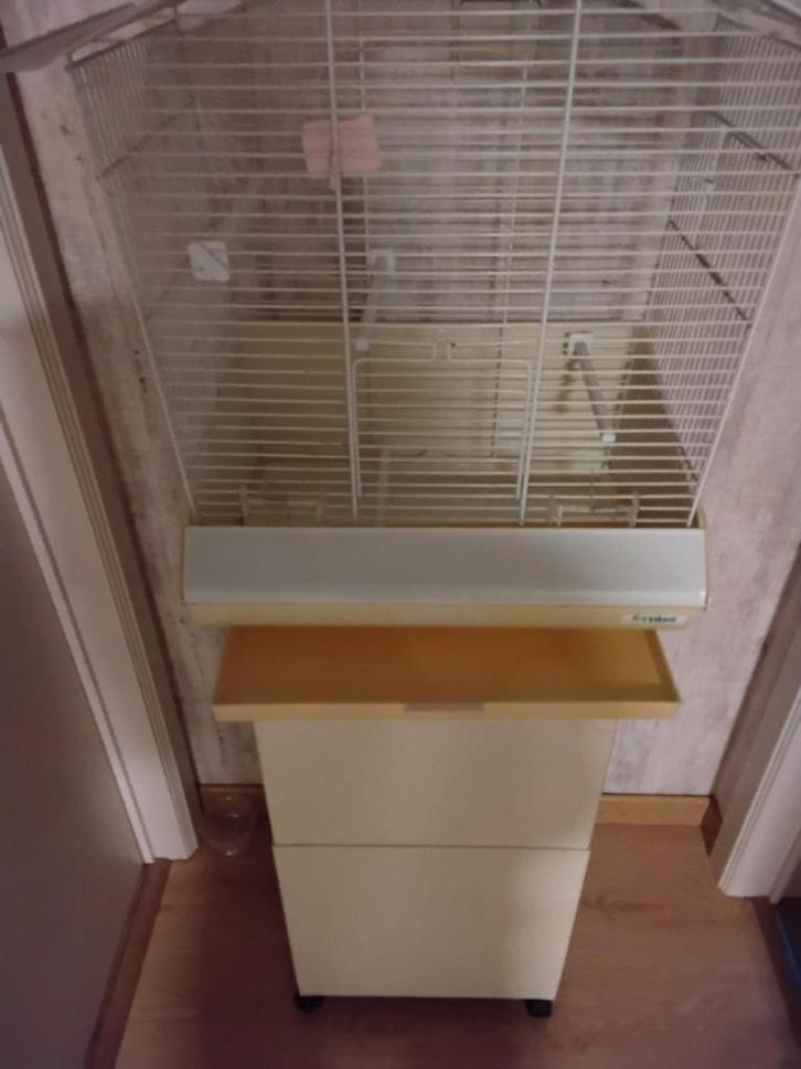 Vogelkooi, Dieren en Toebehoren, Vogels | Hokken en Kooien, Vogelkooi, Ophalen