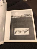 Subirachs obra grafica 1949 - 1975 *Montserrat Blanch, Boeken, Gelezen, Grafische vormgeving, Ophalen of Verzenden, Montserrat Blanch