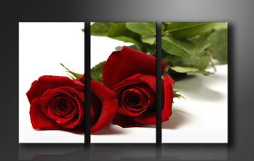 Nieuw 3 luik canvas schilderij * Rode Roos Rozen 90x160cm beschikbaar voor biedingen