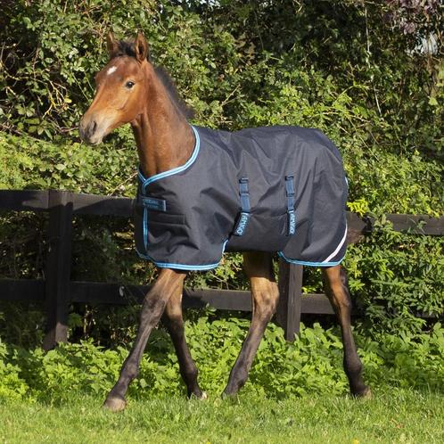 AMIGO TURNOUT VEULENDEKEN, Dieren en Toebehoren, Paarden en Pony's | Dekens en Dekjes, Zo goed als nieuw, Ophalen