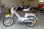 Puch Maxi Rider Macho, Gebruikt, Maxi