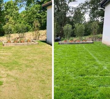 Jardinier bon prix, Enlèvement