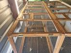 Grote kooien voor vogels, Dieren en Toebehoren, Vogels | Hokken en Kooien, Ophalen, Zo goed als nieuw, Volière