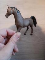 Sleich paard, Ophalen