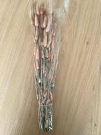 Droogbloemen - Lagos Nude Brown, Huis en Inrichting, Ophalen of Verzenden