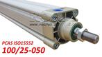 PCAS 100/25xx ISO15552 PNEUMATISCHE PERSLUCHTCILINDER, Doe-het-zelf en Bouw, Gereedschap | Overige machines, Verzenden, Nieuw