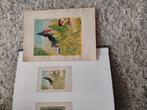 Leon spilliaert ,,,,,periode James Ensor, Antiek en Kunst, Kunst | Litho's en Zeefdrukken, Ophalen of Verzenden