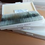 Gesteente preparaten, zeer exclusief, vrgprs: 2700 €, Enlèvement, Fossile