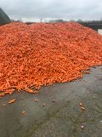 Voederwortels te koop, Dieren en Toebehoren, Paarden