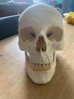 Schedel, Boeken, Ophalen, Zo goed als nieuw