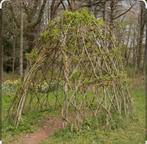Wilgentakken, Tuin en Terras, Planten | Bomen, Ophalen