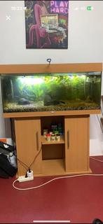 Aquarium te koop juwel 180, Ophalen, Zo goed als nieuw