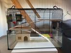 Hamsterkooi, Dieren en Toebehoren, Ophalen, Nieuw, Hamster