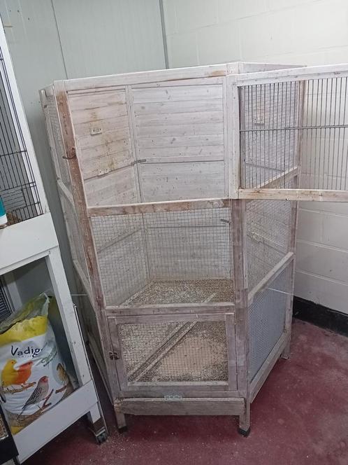 Vogel kooi zeskant, Dieren en Toebehoren, Vogels | Hokken en Kooien, Ophalen