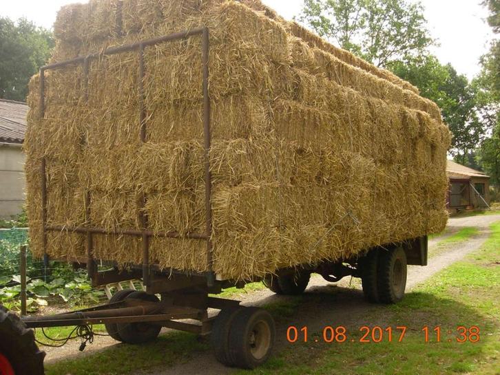 Tarwestro en gerstestro van 2025., Zakelijke goederen, Landbouw | Veevoer, Ophalen of Verzenden