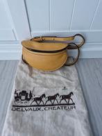 Sac delvaux en très bonne état