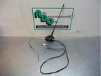 Antenne van een Renault Megane (Megane 09-), Auto-onderdelen, Gebruikt, -, Renault, -