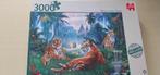Puzzel 3000 stukken, Ophalen, Meer dan 1500 stukjes, Gebruikt, Legpuzzel