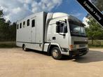 DAF 5-paards paardenvrachtwagen 7.5T Living (bj 2001), Auto's, Vrachtwagens, Te koop, Zilver of Grijs, Blauw, Stof