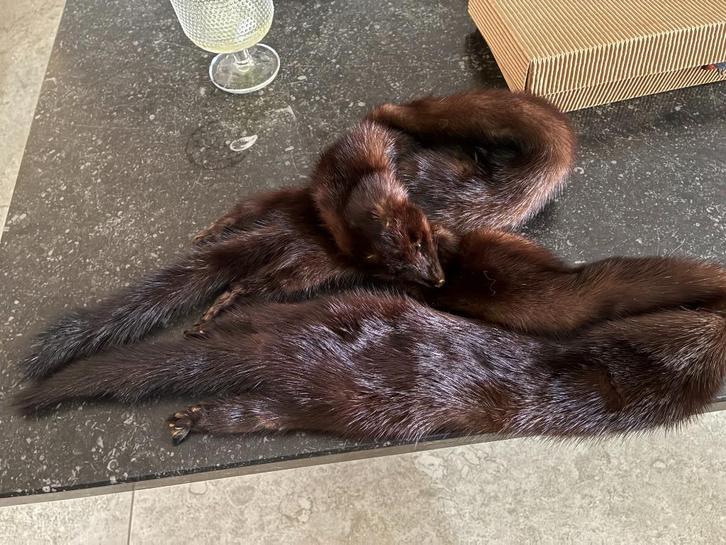 Oude nertsen, Kleding | Dames, Mutsen, Sjaals en Handschoenen, Gedragen, Muts, Ophalen