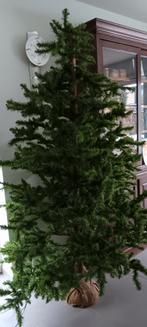 Kerstboom, Ophalen, Gebruikt