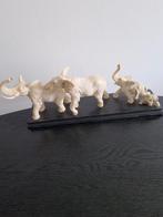 Olifantenfamilie ivoor, Ophalen