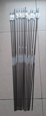 Easton ACE 670 (17 stk) 69cm, Sport en Fitness, Handboogschieten, Ophalen of Verzenden, Gebruikt, Pijlen
